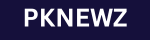 pknewz.site